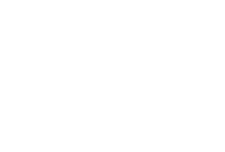 DVSA