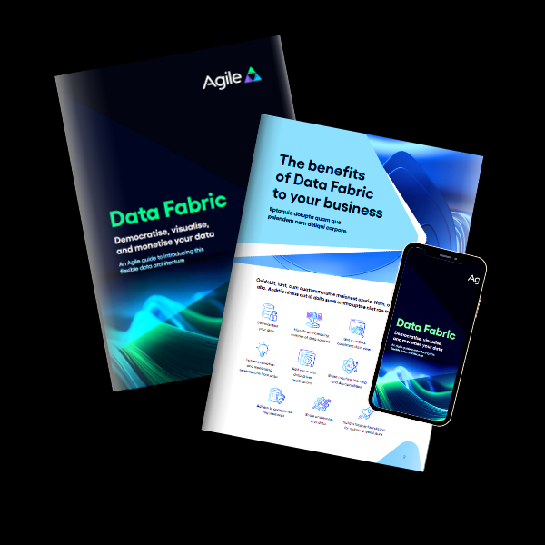 Data Fabric Mockup
